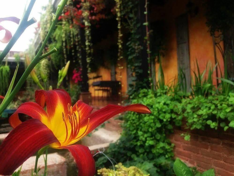 Hotel Eterna Primavera Антигуа-Гватемала Экстерьер фото