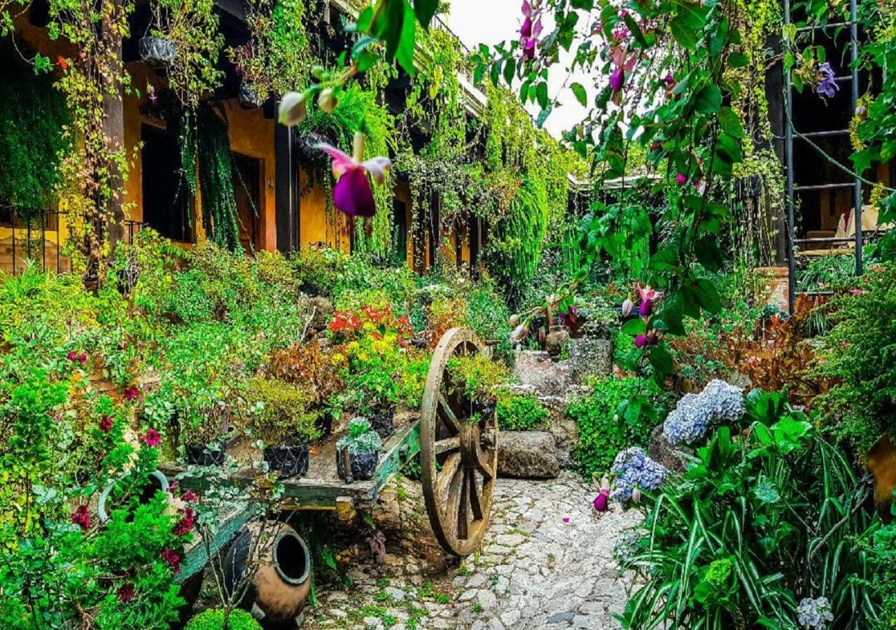 Hotel Eterna Primavera Антигуа-Гватемала Экстерьер фото
